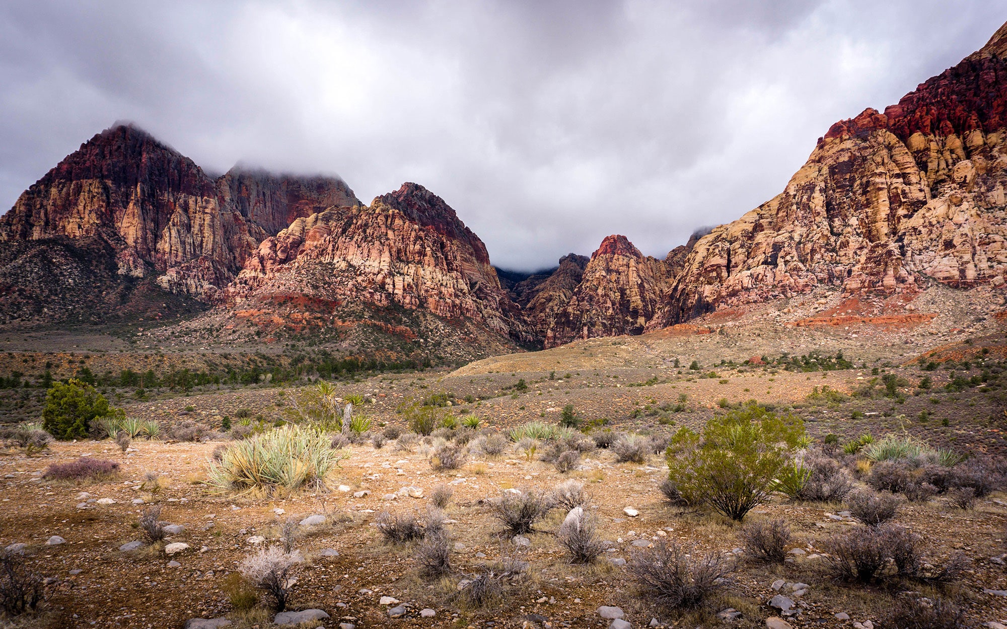 Desert landscape at Red Rock National Conservation Area