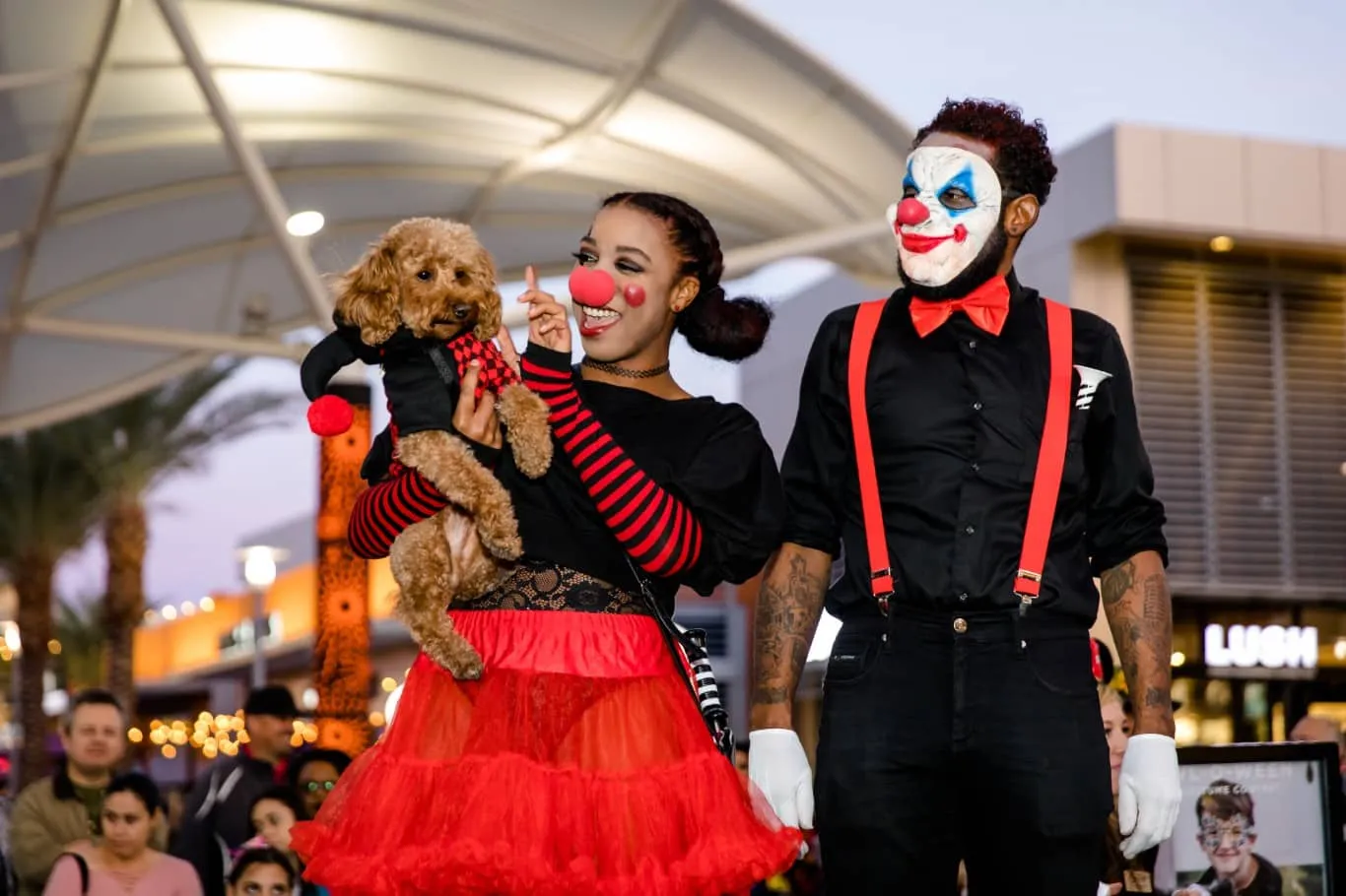 Halloween dog costume contest at Downtown Summerlin