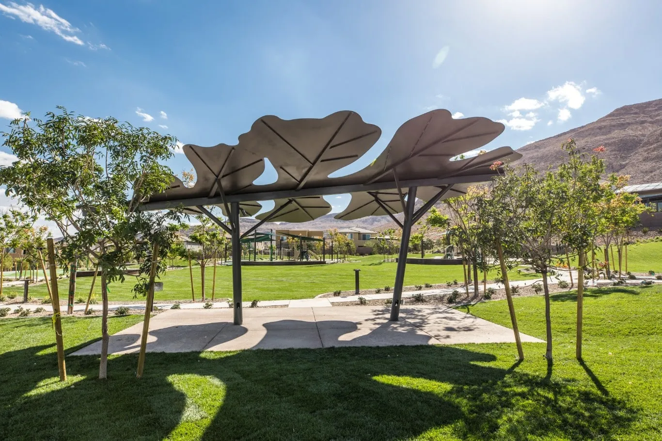 Oak Leaf Park in Summerlin