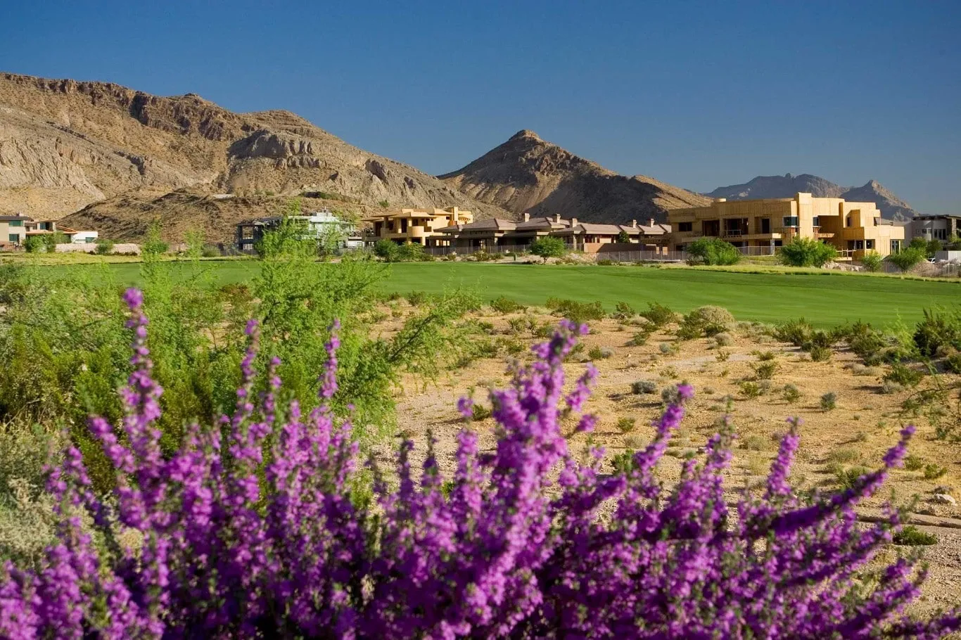 Jack Nicklaus Bears Best in Summerlin