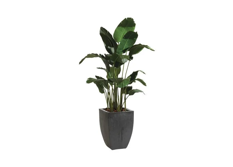Travelers Palm Tree from Ethan Allen