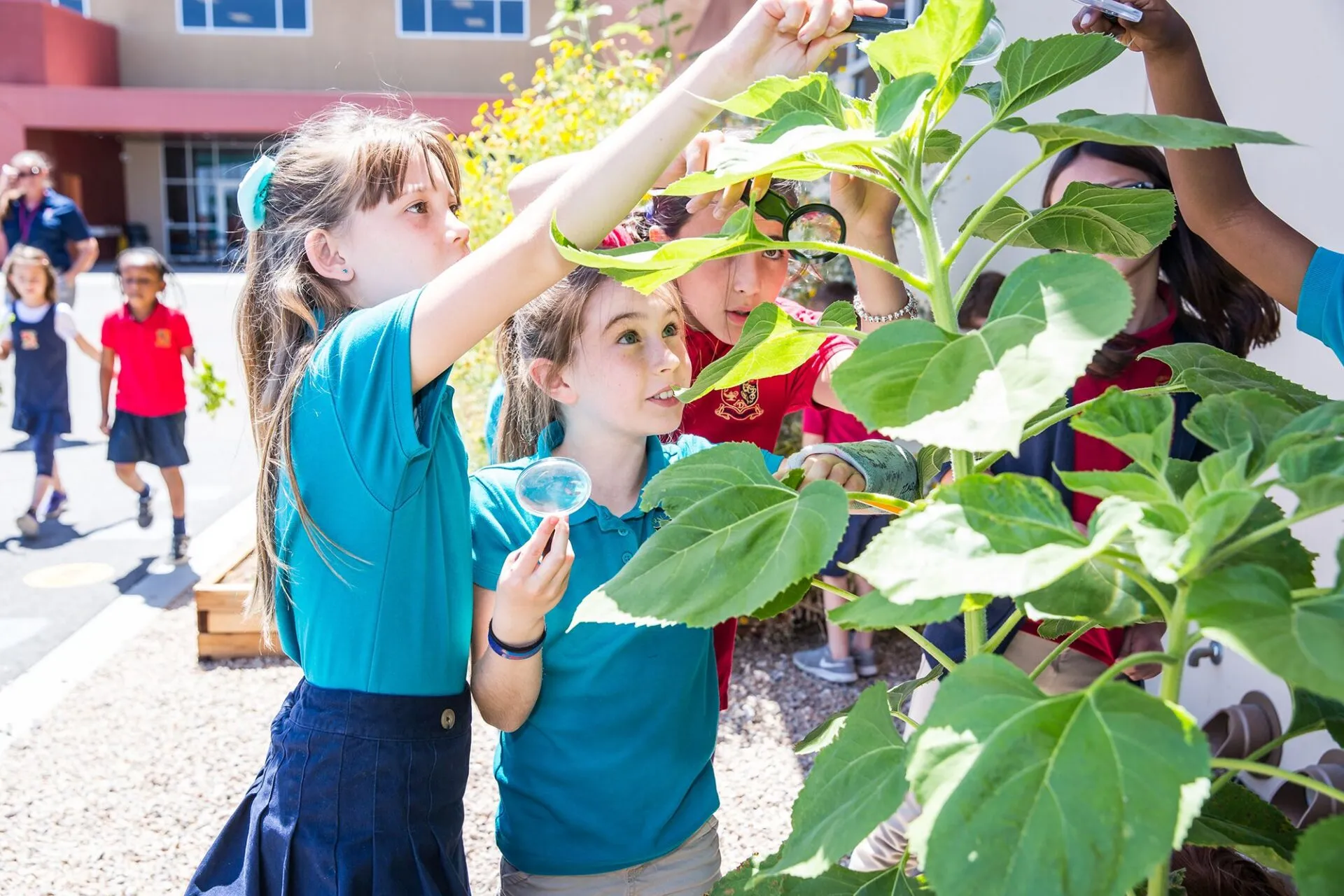 Young girls looking at a plant at a school in Summerlin
