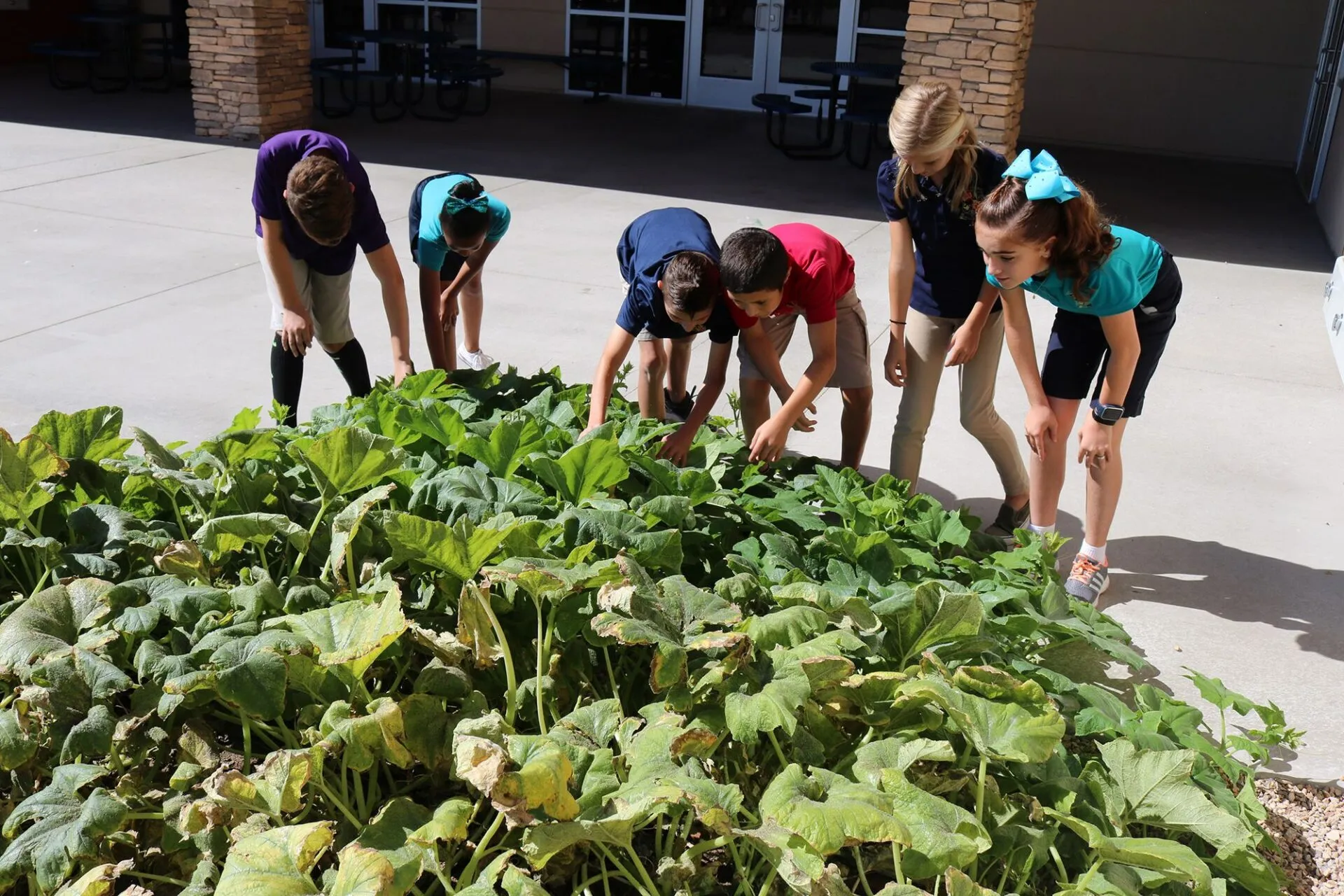 Kids gardening at a school in Summerlin