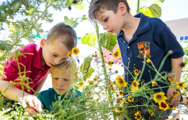three boys gardening at Doral Academy in Summerlin