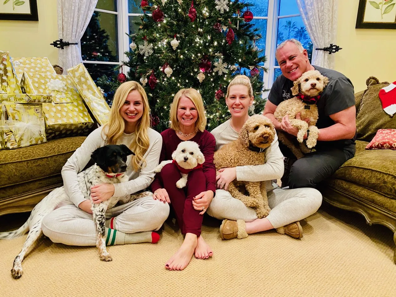 The Spoon Family at Christmas