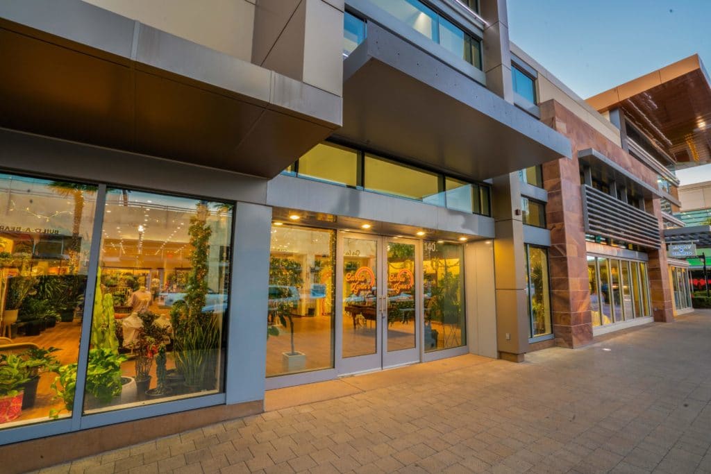 Carrie Lynns Plant Shop Storefront at Downtown Summerlin