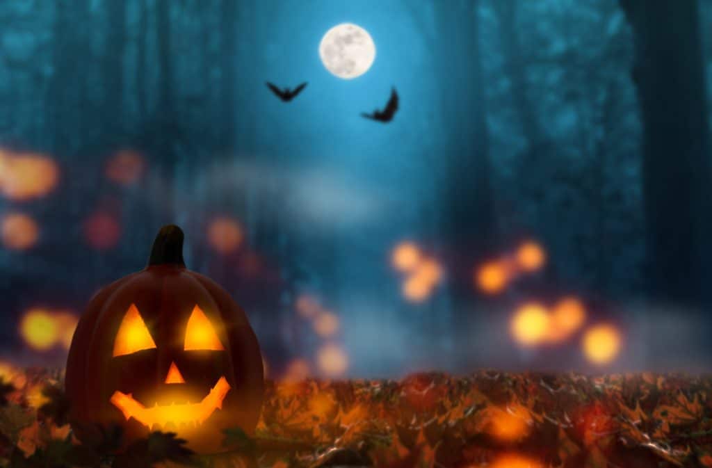 Halloween Spooky night