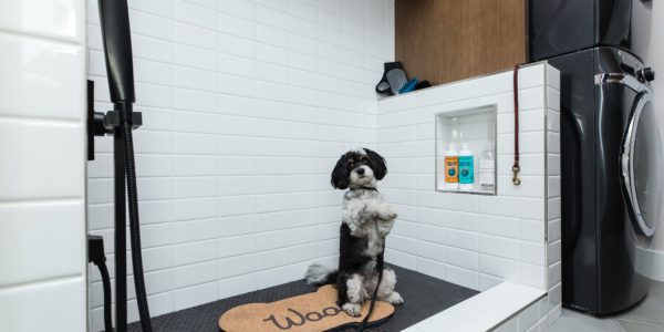 Nova Ridge by Pardee Homes in The Cliffs village offers a dog wash option that’s fully customizable in select models