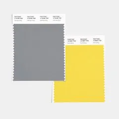 Pantone Color Of The Year 2021