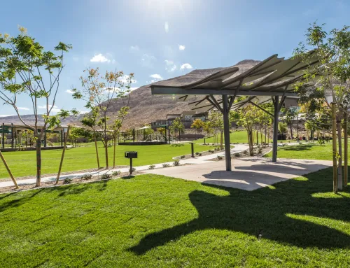 Going Green in Summerlin: A St. Patrick’s Day Celebration