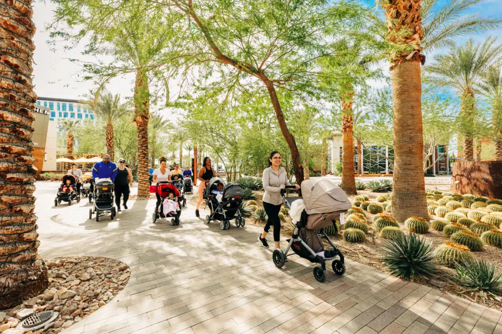 Fit4Moms-2023-Celebration-48-1024×683 A group of adults push strollers along a paved path lined with palm trees and cacti in a sunny, landscaped outdoor setting. The people appear relaxed and are enjoying a walk together.