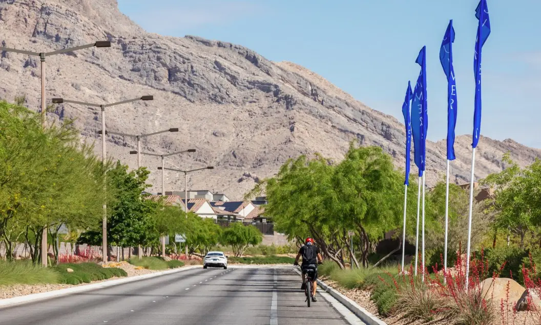 A cyclist rides down a paved road lined with trees and blue flags on a sunny day, with a white car and rugged mountains visible in the background.