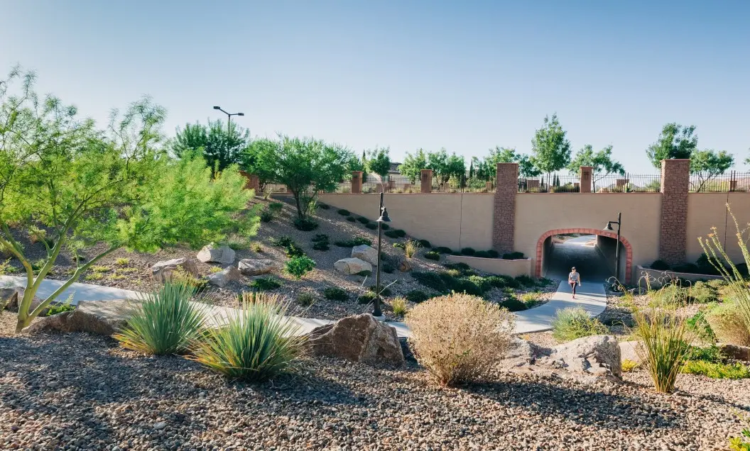 A person walks on a paved path through a tunnel in a desert landscape with rocks, shrubs, and trees under a clear blue sky.