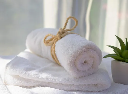 DTS_Directory_Wellness-2 A rolled white towel tied with a brown string rests on top of a folded white towel beside a small potted green plant, all placed on a white surface with soft natural light in the background.